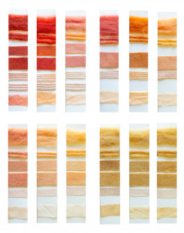 MycoColors