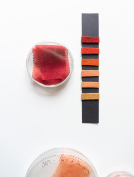 MycoColors